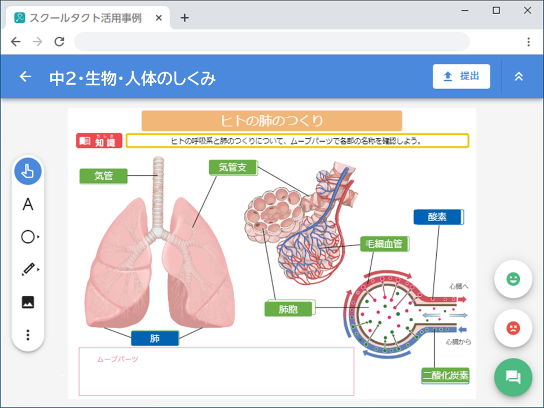 動物のからだのつくりとはたらき | BANSHOT